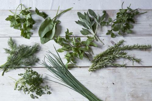 Herbs p170-012