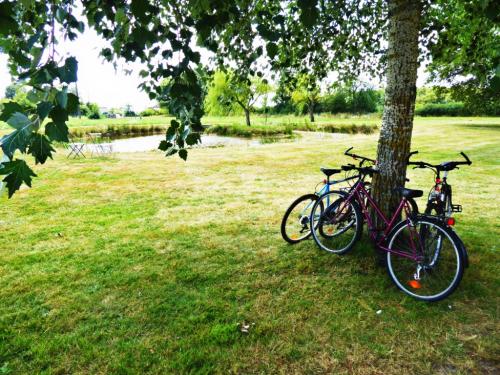 bike-and-pond