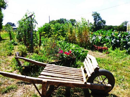 wheel-barrow